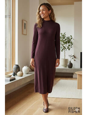 Eileen Fisher Women's Long Sleeve Mock Neck Lightweight Dress Petite Medium PM